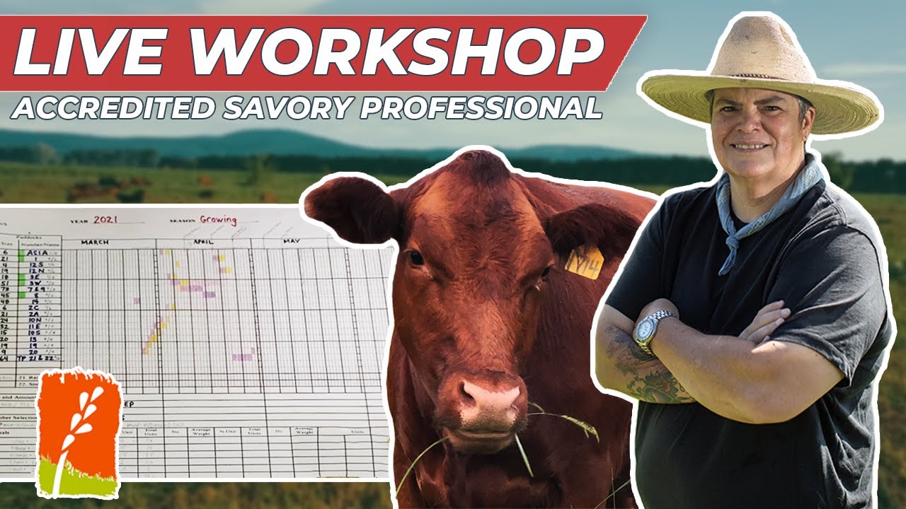 Rotational Grazing for Beef Cattle