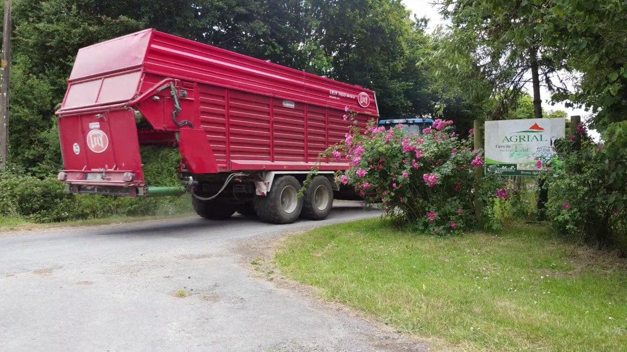 Affouragement en vert avec un New Holland et son ensemble LELY, faucheuse frontale+ auto chargeuse.