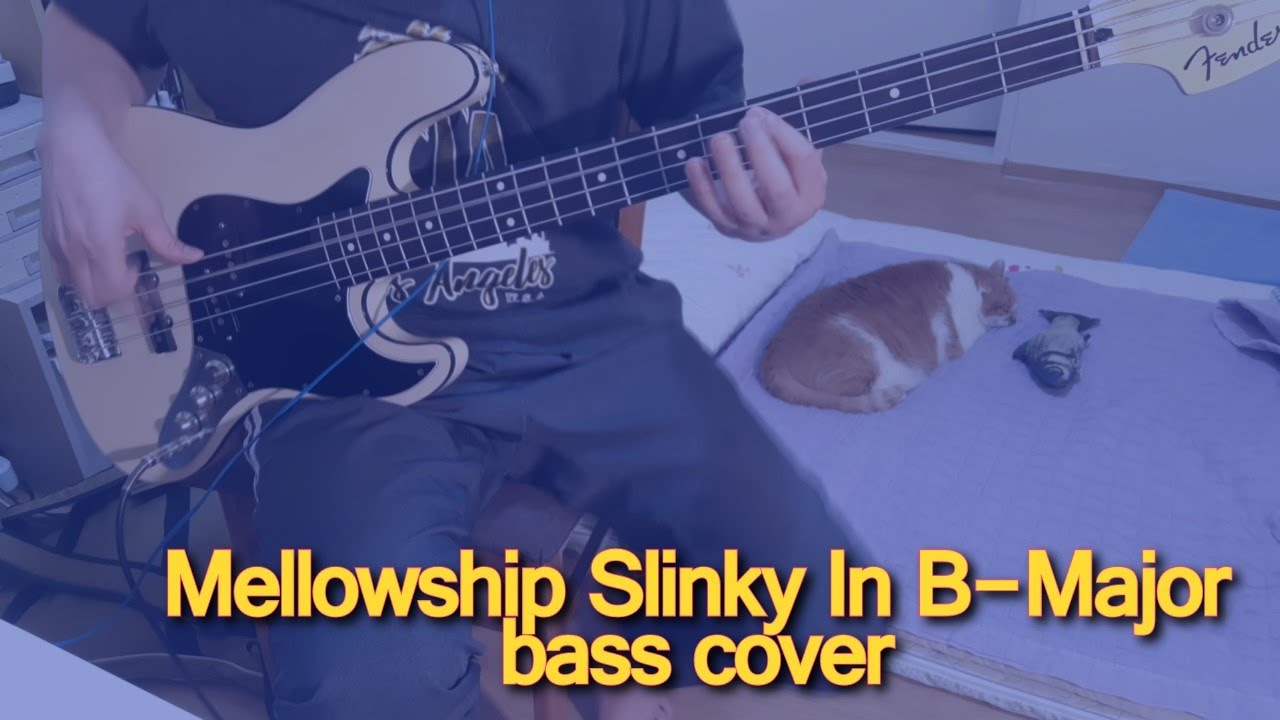Mellowship Slinky In B-Major bass cover(w.tabs)