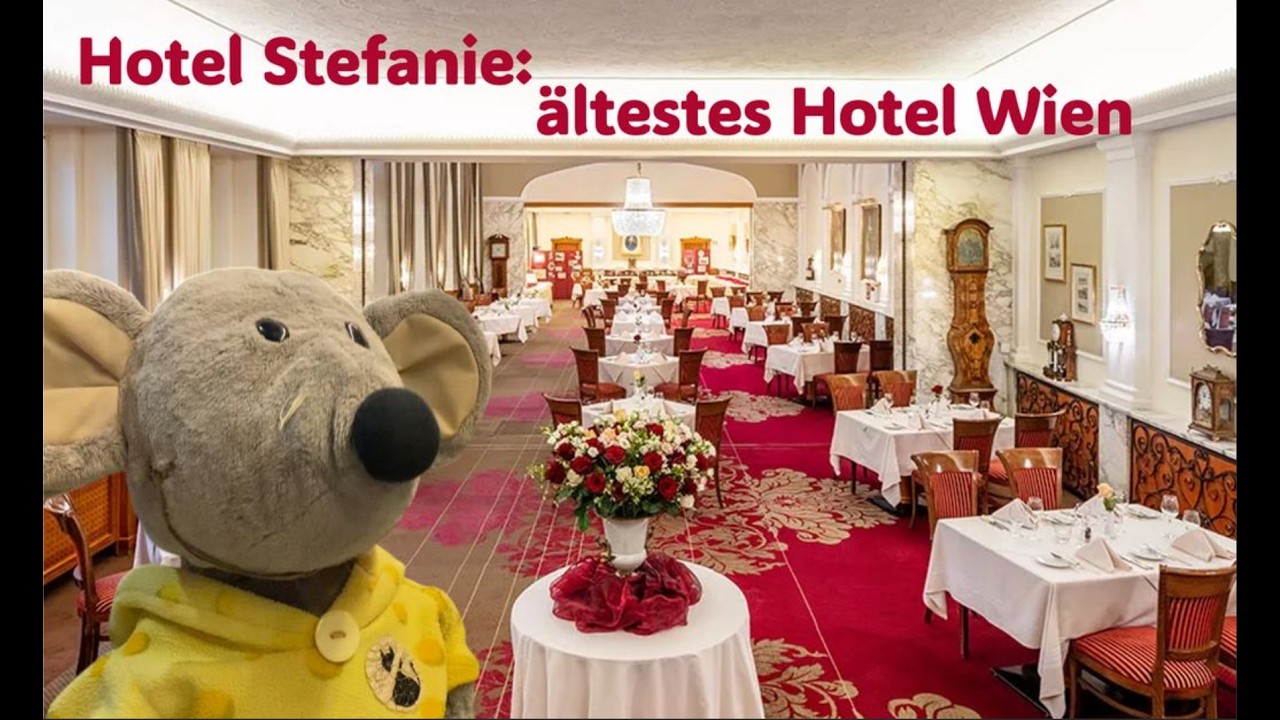 Dr Mausi im ältesten Hotel in Wien - Hotel Stefanie