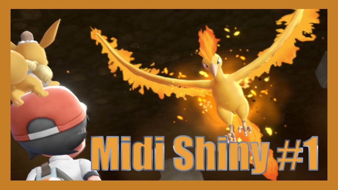 Midi Shiny #1 : On continue de reset Sulfura !
