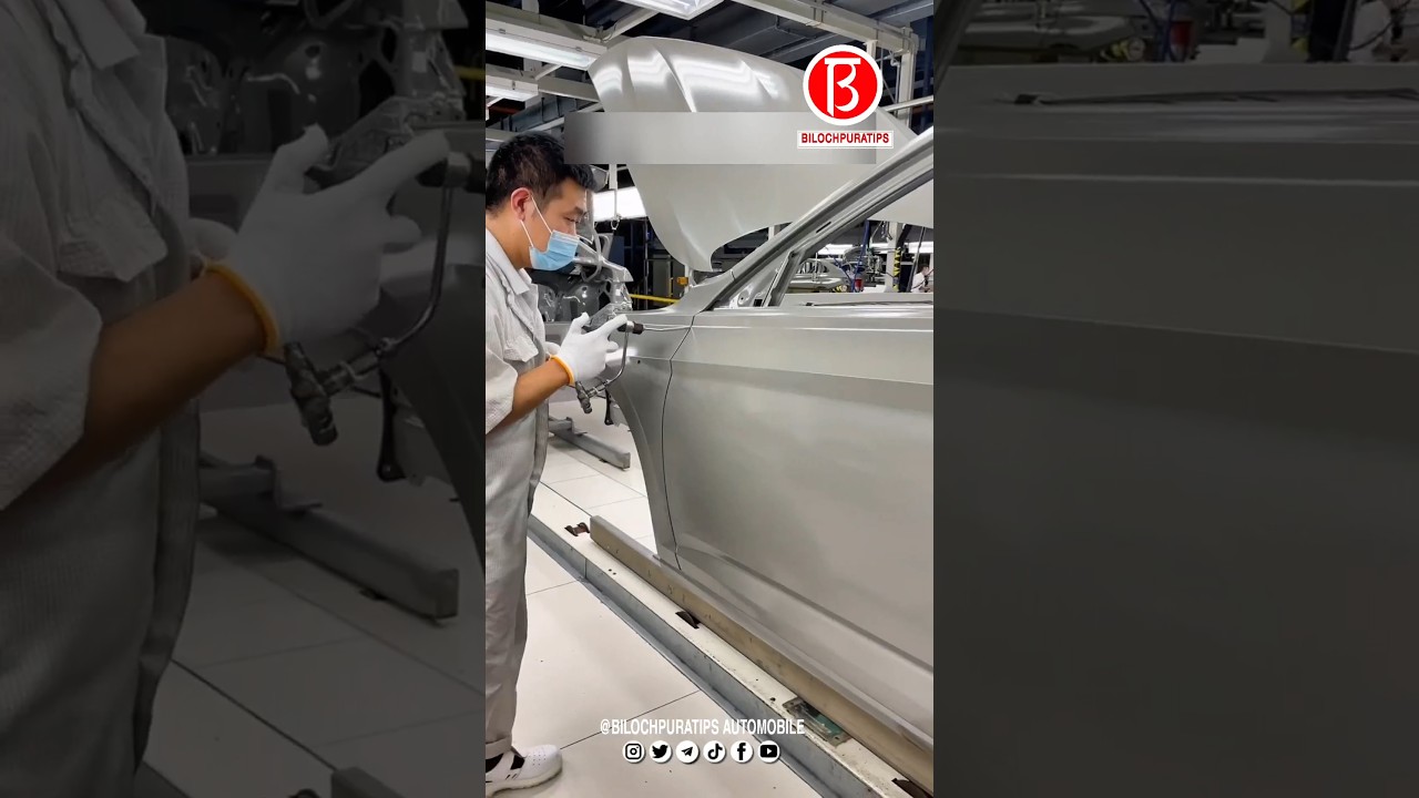 Automotive door sealant