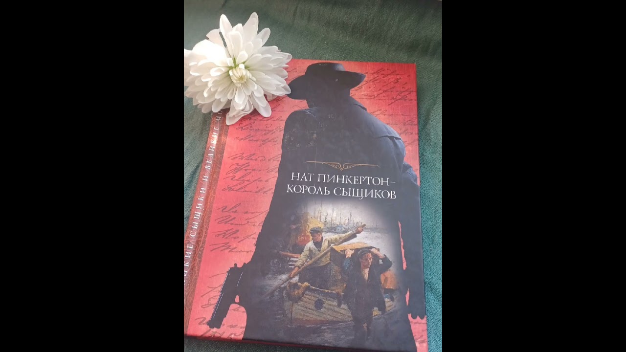  НАТ ПИНКЕРТОН. СТРАШНЫЙ КАРЛ! ДЕТЕКТИВ. СЛУШАЕМ И ДЕЛАЕМ СВОИ ДЕЛА!#детектив#натпинкертон