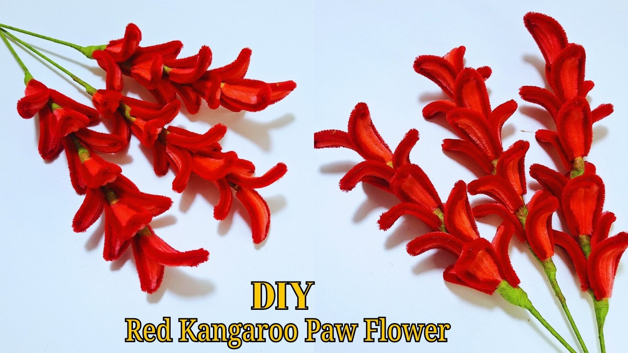 How to Make Handmade Red Kangaroo Paw Flower (Pipe Cleaner Craft)