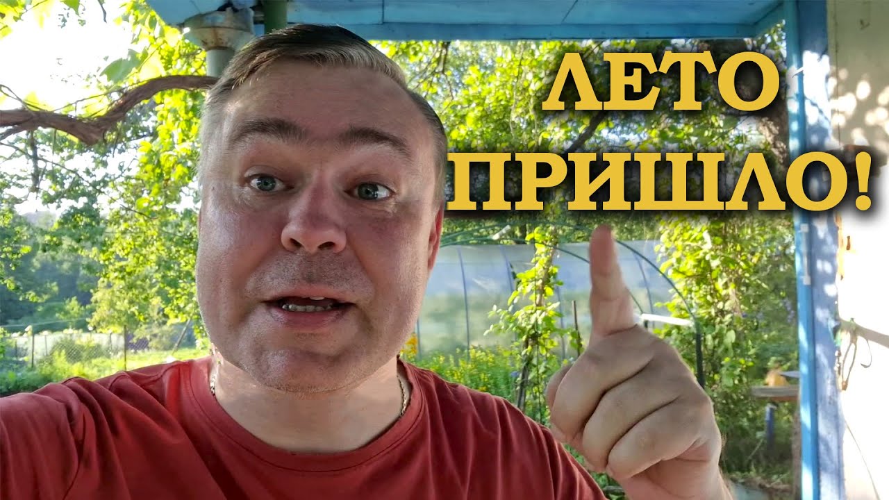 Запуск мини пруда и обзор дачи. Лето 2025.