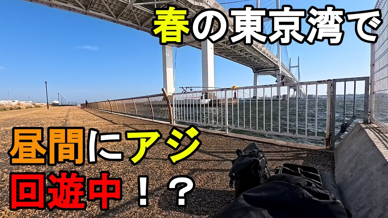 【神奈川県某所】春の東京湾で昼間にアジ回遊中！？海釣りシーズン序盤の時期に、関東地方の東京湾に面した地域にある釣り場で、日中にアジ狙いで釣りしてみたら…！【2025年4月中旬】　※後半は相模湾での釣行
