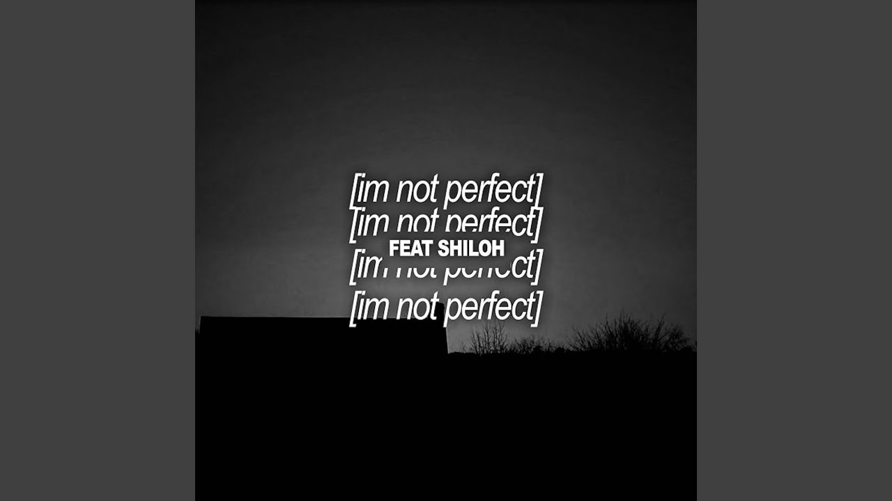 i'm not perfect
