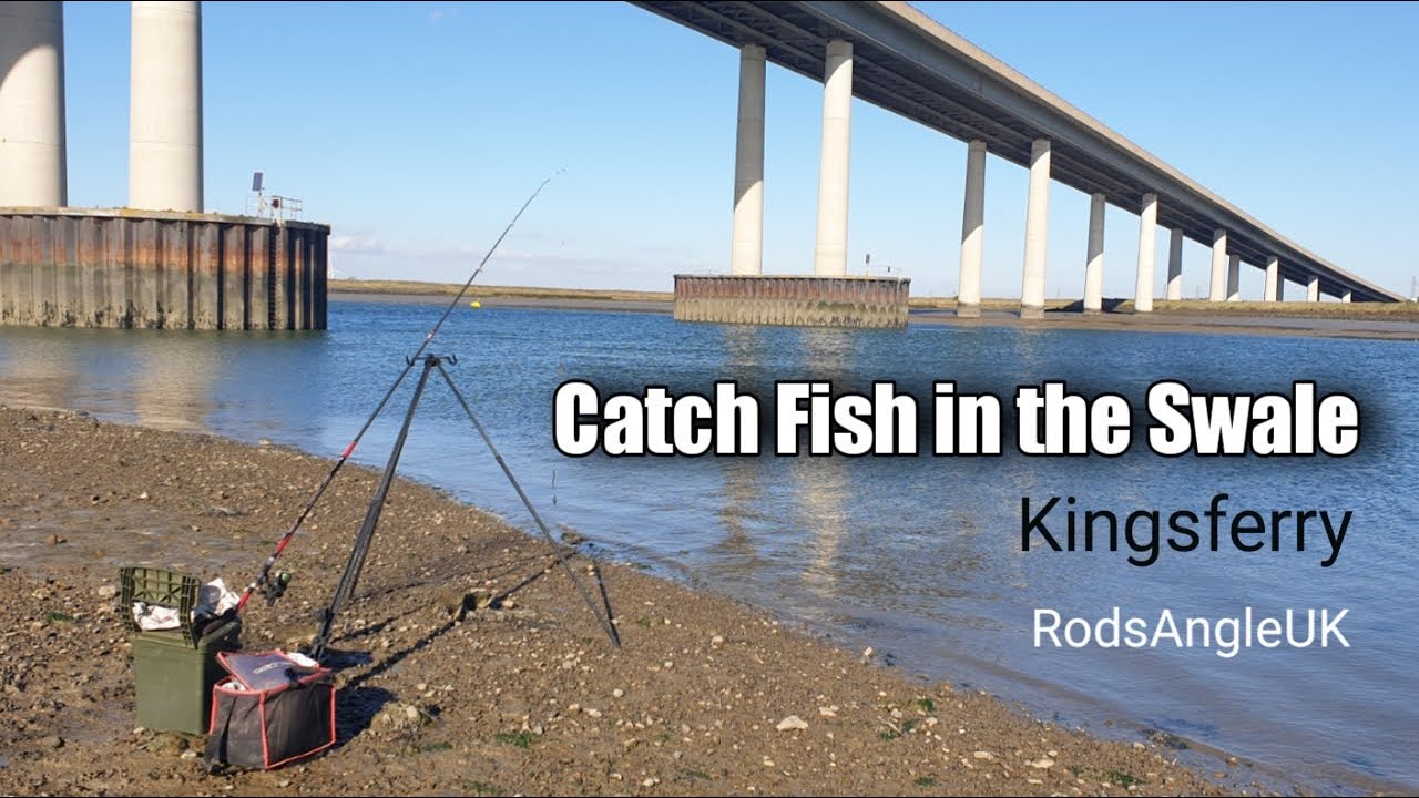 Catch Fish in the Swale: KINGSFERRY