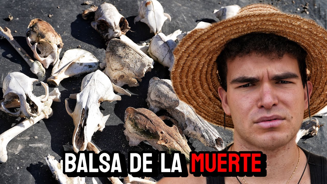 ¡Algo Terrible Ocurrió Aquí! Encuentro muchos Animales Muertos en este Extraño Lugar...