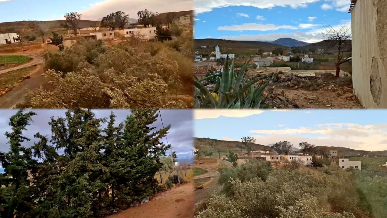 ليوم نشارك معكوم أجواء أصبحت هدا صباح رياح قوية في البادية شاهدوا معنا لفيديو.🌫🌀