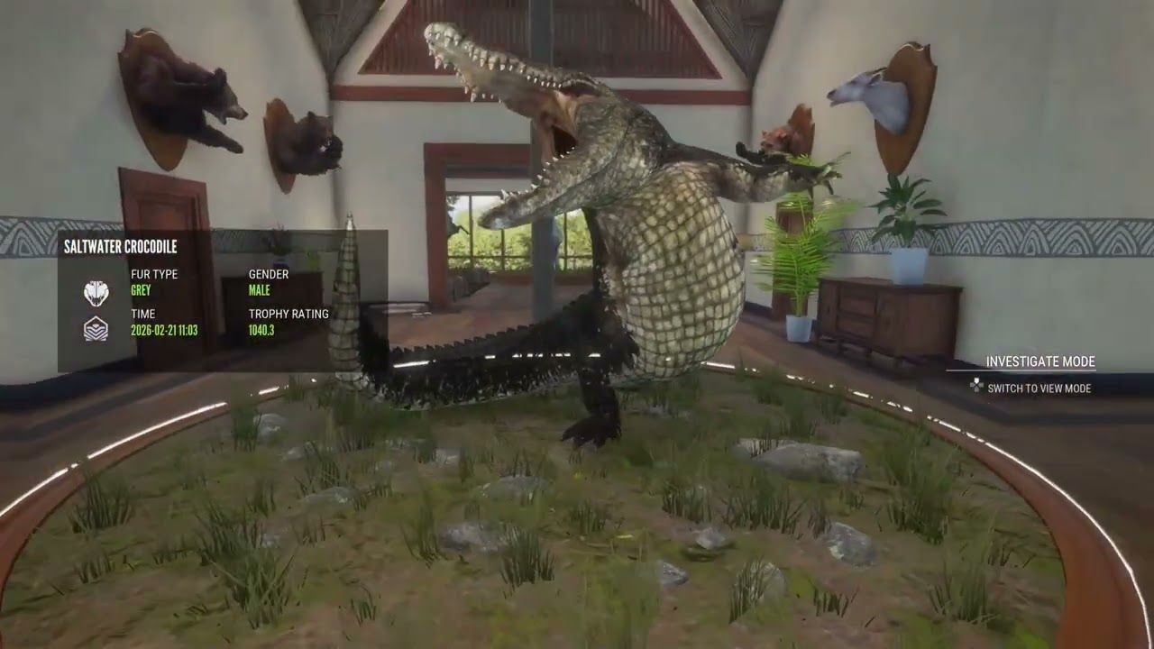 THES IS MY TROPHY LOUNGE #fyp #thehunter #gaming #games #greatness 