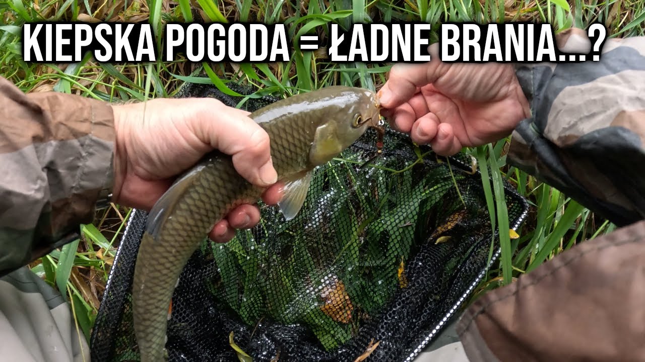 Ryby BRAŁY - mimo że Pogoda nie rozpieszczała...