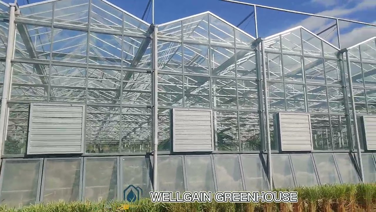 Intelligent control of high-tech glass greenhouse hydroponics
