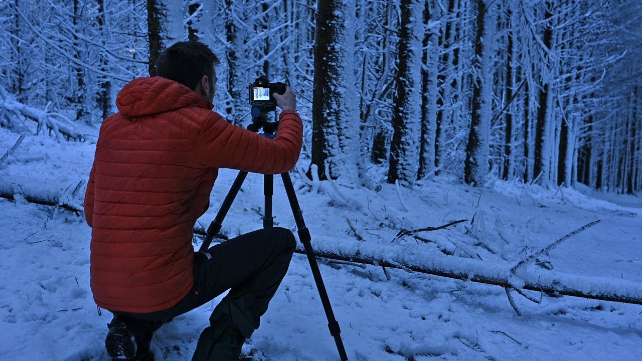 The Raw Beauty of Winter