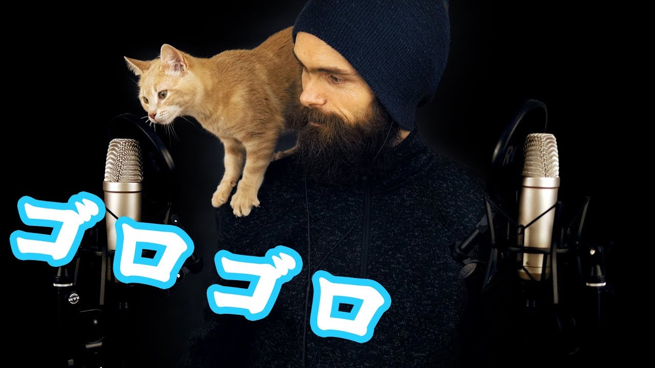 日本語+猫asmr:僕の猫たちを紹介します（大変です！ｗ）（囁き・猫がゴロゴロいう音） (ASMR INTENSE PURRING)