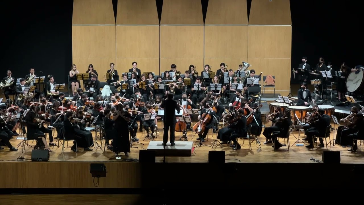 Les Misérables - I Dreamed A Dream - TU Symphony Orchestra