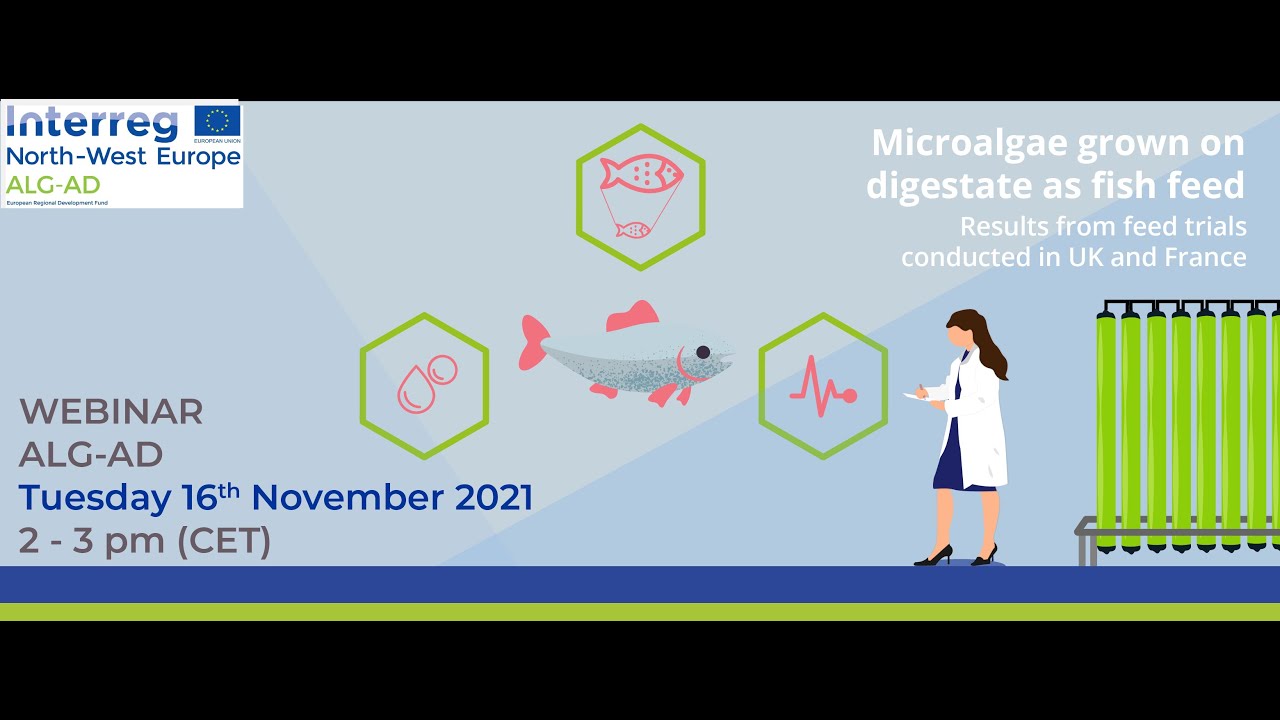 [WEBINAR | EN] Fish feed trials