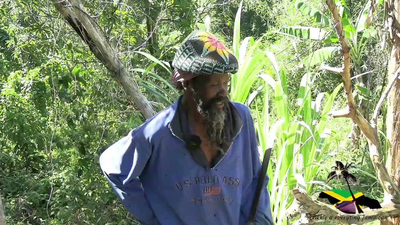Watch: Went to visit Chappy Brown... Look where we found him!!