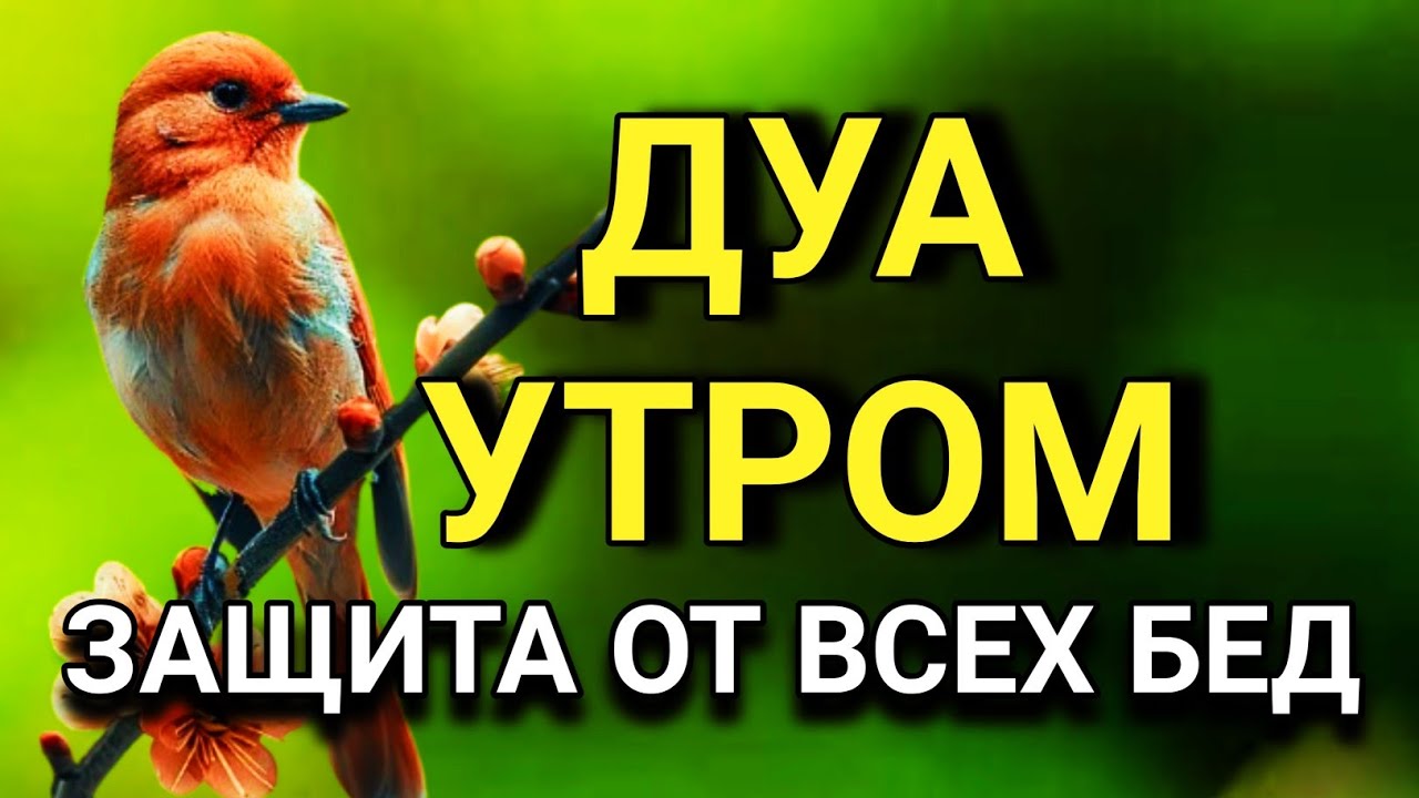🔑🌟 СИЛЬНЕЙШЕЕ ДУА УТРОМ ОТ ВСЕХ БЕД  🤲🌹✨💯