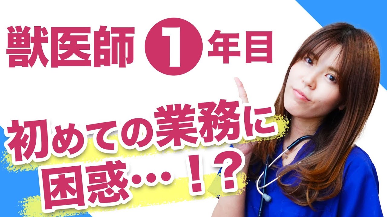 獣医さん1年目のお仕事には、どんな試練が待ち受けている！？