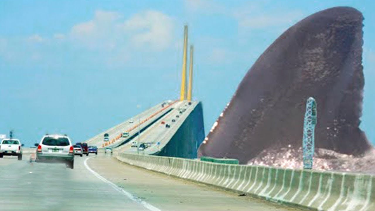Top 10 Shark Sightings That Might Be The Megalodon