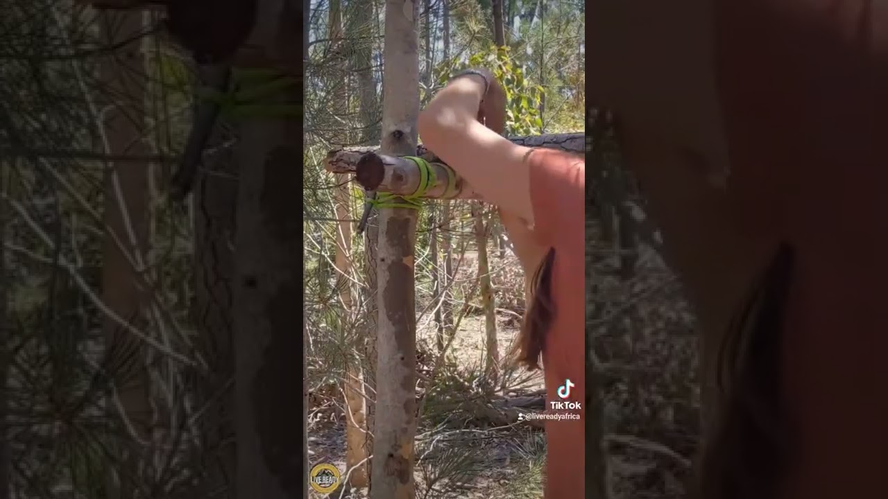 Build a shelter off the ground. #liveready #shelter #debrisshelter #survivalskills #survivaltips