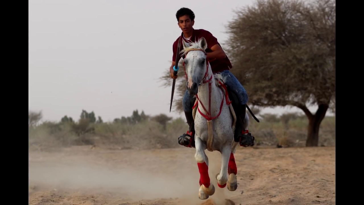 فرسان الطائف التقاط اوتاد