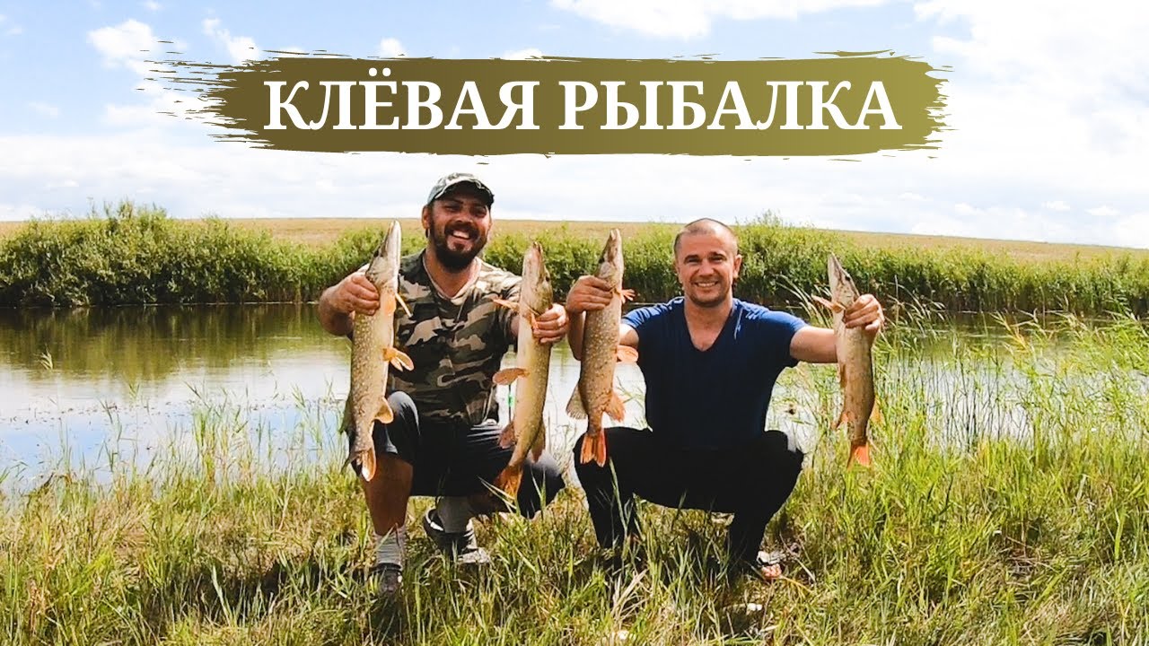 ЛОВЛЯ ЩУКИ на живца. Рыбалка в Карагандинской области река Куланотпес