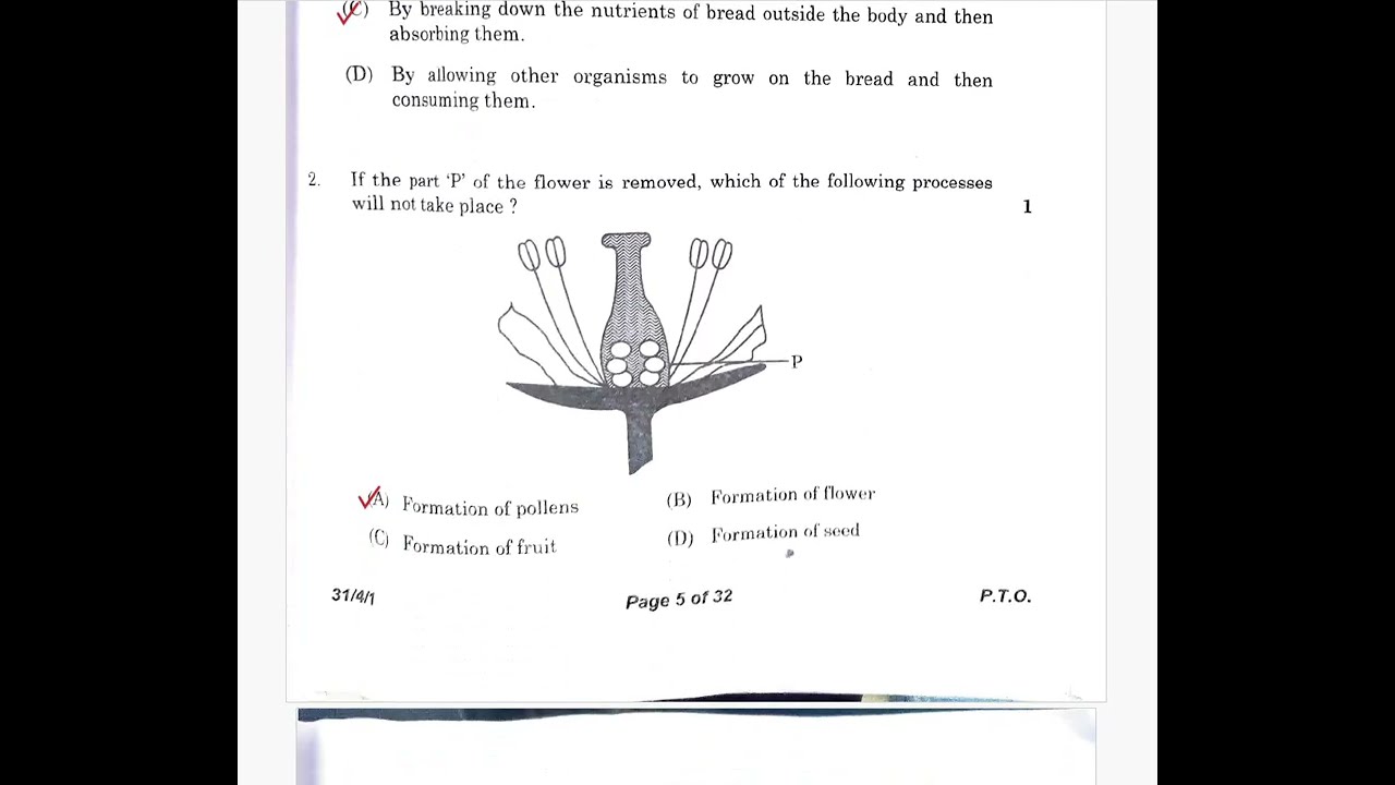 CLASS 10 BOARD EXAM  2026 SCIENCE ANSWER KEY | CBSE EXAM SCIENCE 2026 | Q.P Code 31/4/1
