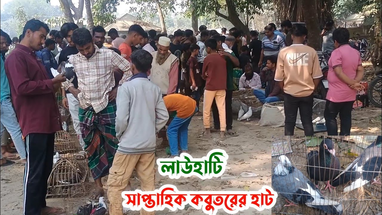 লাউহাটি সাপ্তাহিক কবুতরের হাট | বর্তমানে কবুতরের দাম | Kobutor hat 07/02/2026