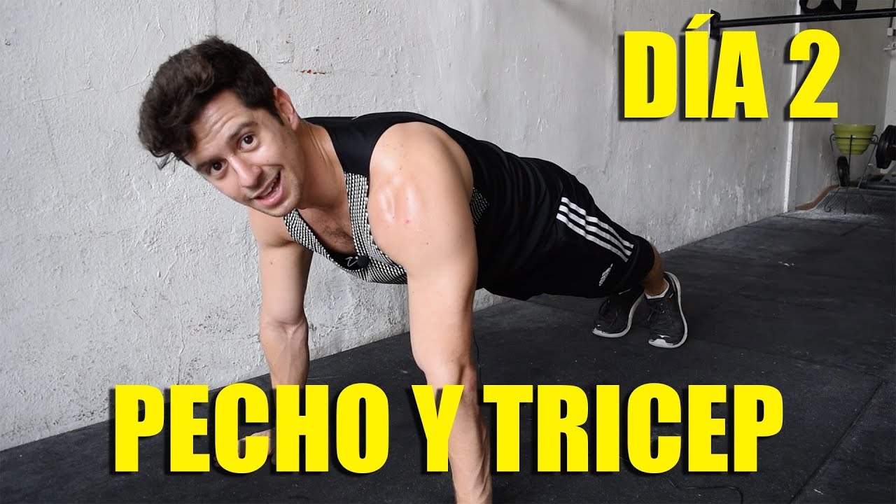Calistenia Para Principiantes | Día 2 | Pecho Y Tricep