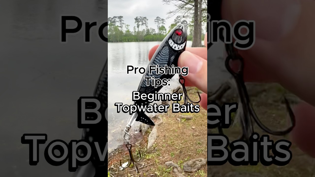 Beginner Guide to Topwater Bass Fishing Baits #fishing #bassfishing #topwater #fishingbaits