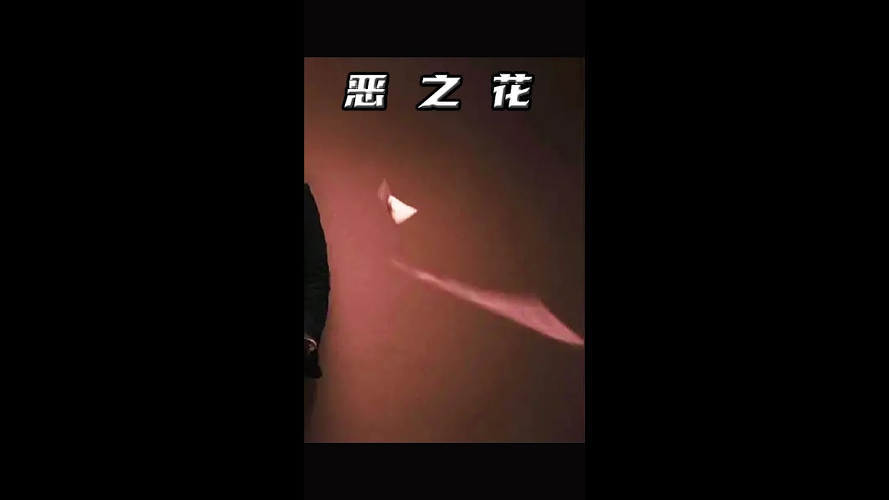 意大利版张子强，拿赎金7亿，被判290年！ 