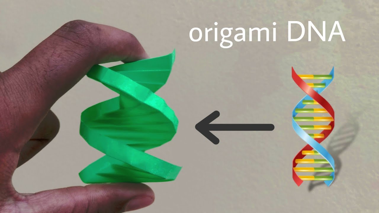Origami DNA