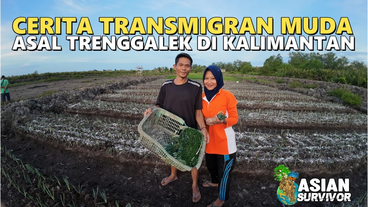 SEMANGAT PASANGAN PETANI MUDA ASAL TRENGGALEK DI PEMUKIMAN TRANSMIGRASI SP10 DESA TANJUNG BUKA