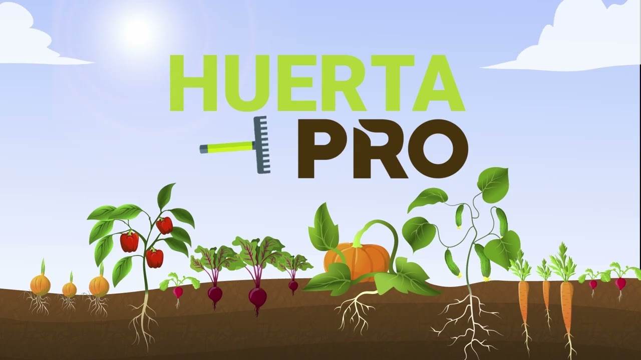 Huerta PRO - Producción de Verdeos