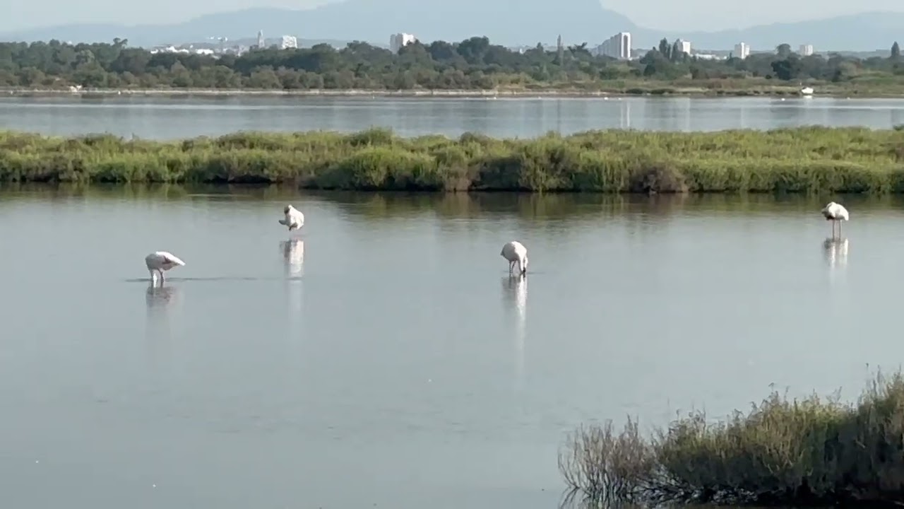 40.nap Palavas-les-Flots (2025.07.04) - 25km