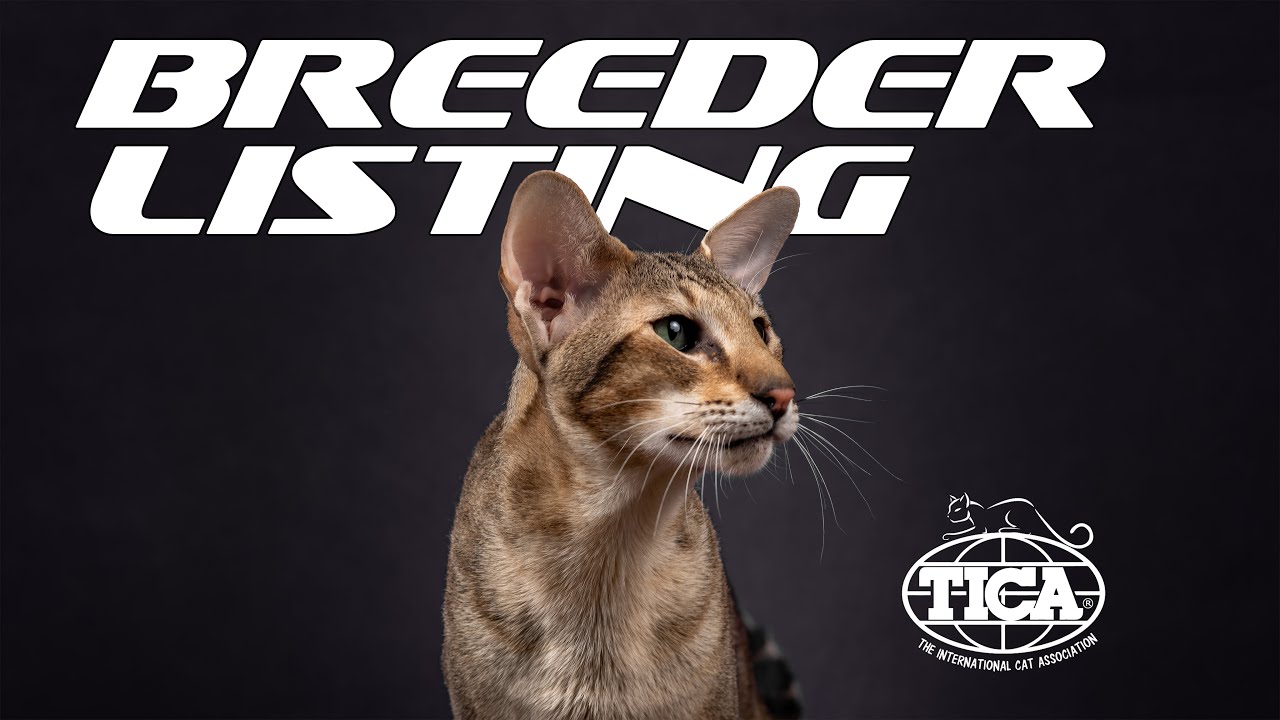 TICA Breeder Listing
