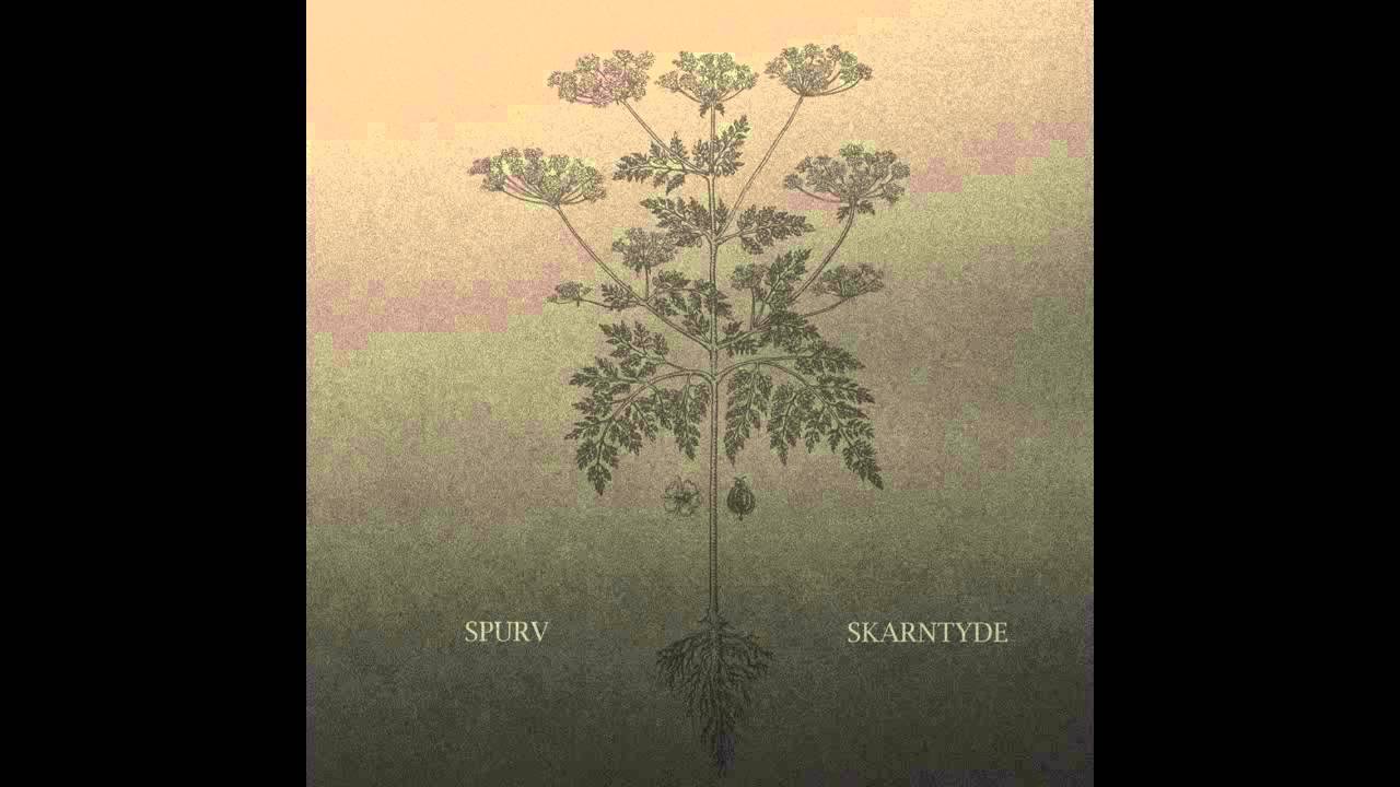 Spurv - Lyden av løv som biter seg fast til sin egen kropp