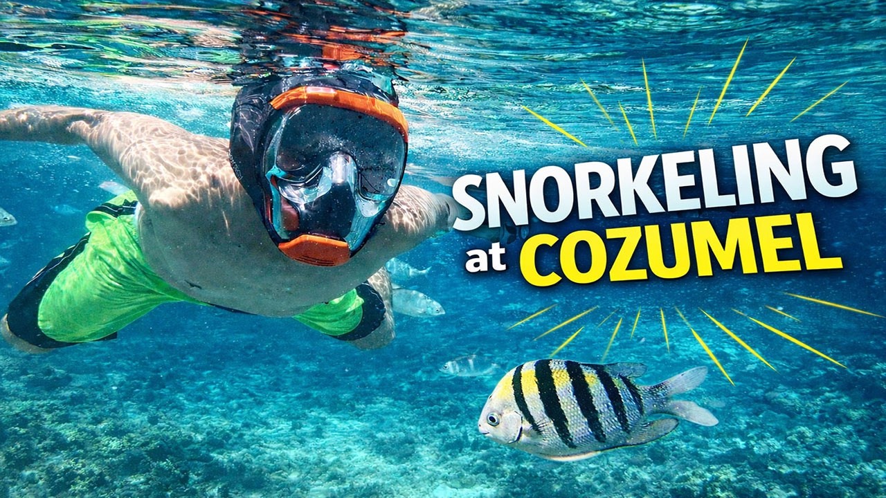 Snorkeling Paradise in Cozumel?