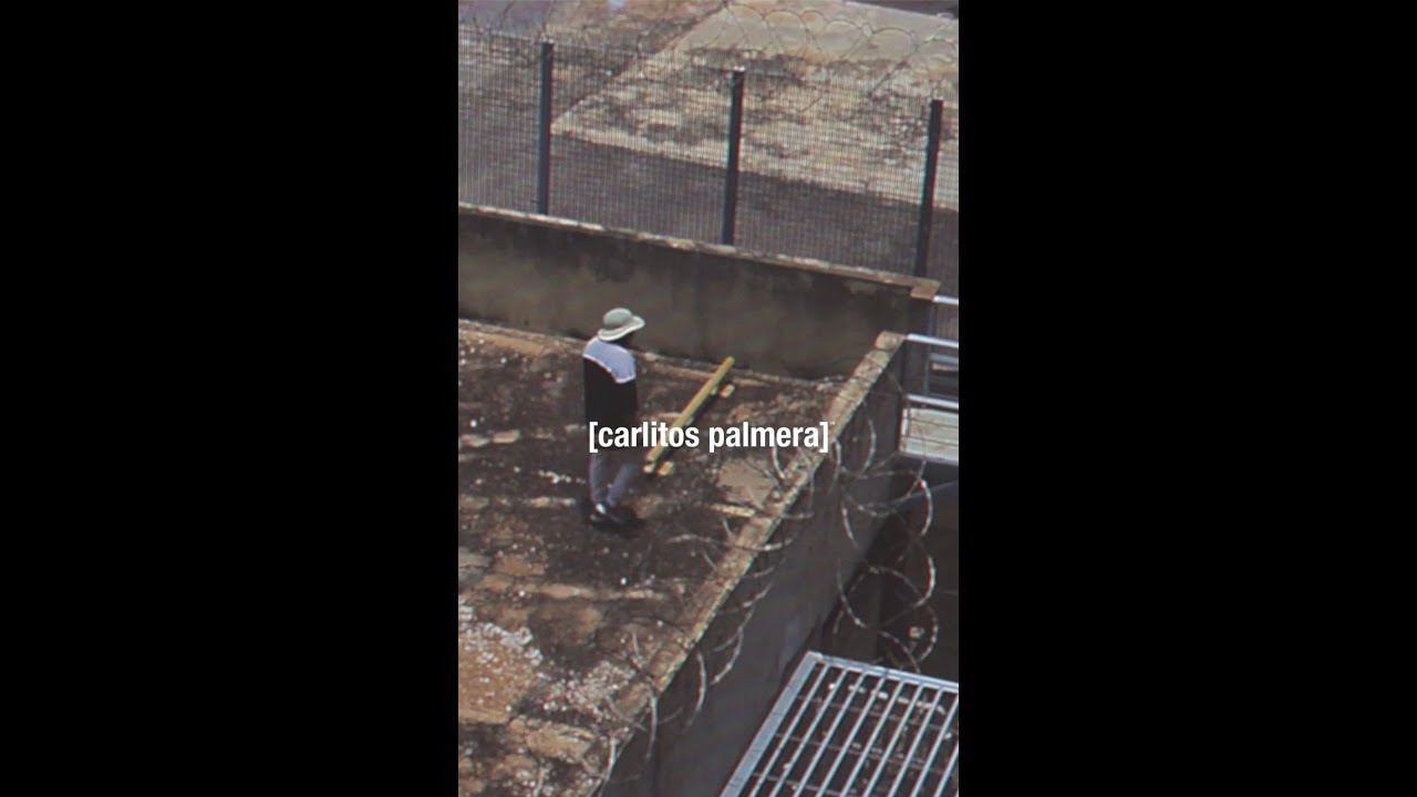 Carlitos Palmera - mentiras + chanel