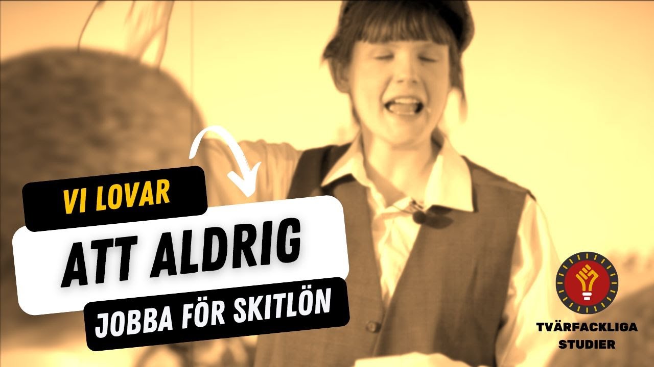 Vi lovar (2024) - Tvärfackliga studier