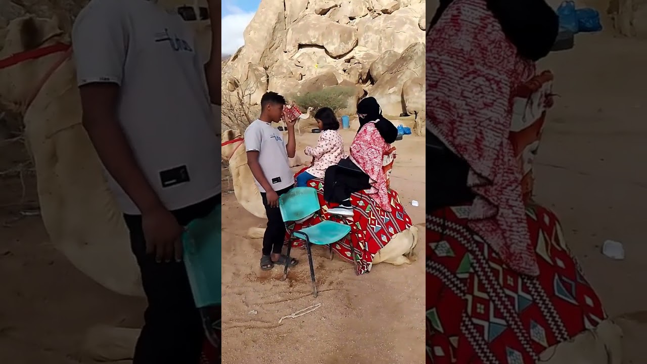 মদিনায় জীন পাহাড় নবি হাতে লাগানো খেজুর বাগান দেখতে গিয়েছিলাম 