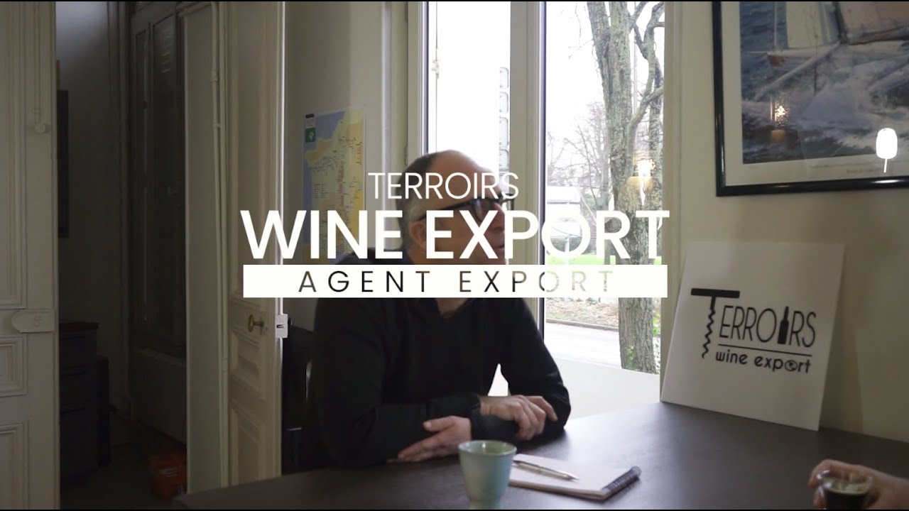 🎥 [ INTERVIEW - AGENT COMMERCIAL EXPORT ] Thibault POISSON - VignoblExport
