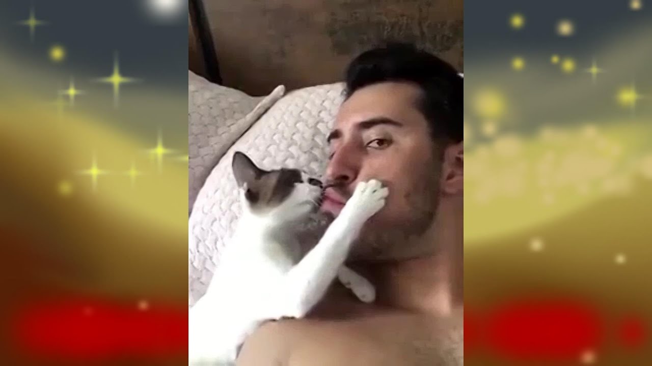 УСАТЫЙ ПОЦЕЛУЙКИН 😹 УДИВИТЕЛЬНЫЕ ЖИВОТНЫЕ 😹 31 😹 Amazing Animals