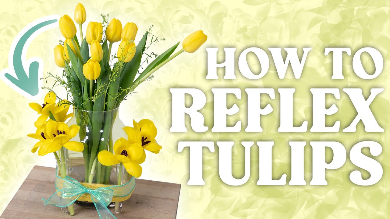 How to Reflex Tulip Petals | Easy Floral Arrangement Tips