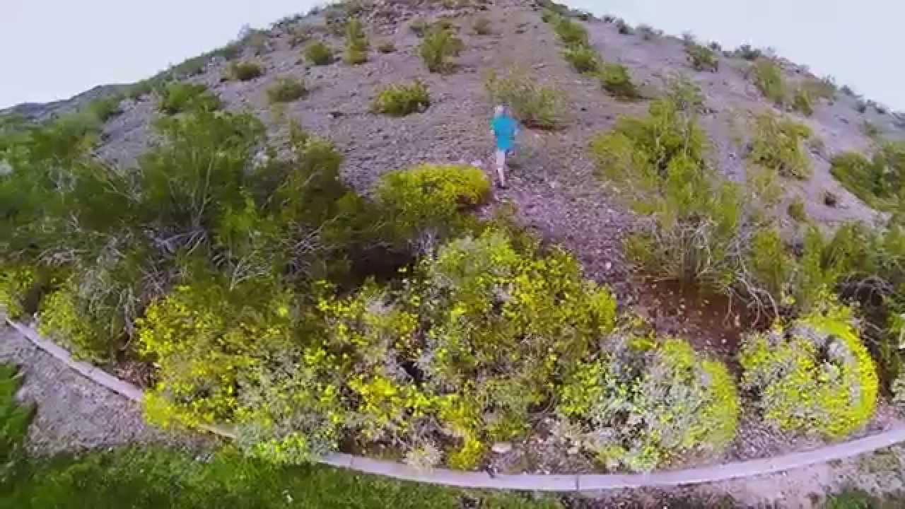 De Rubeis Videos Phoenix Winter, 2014