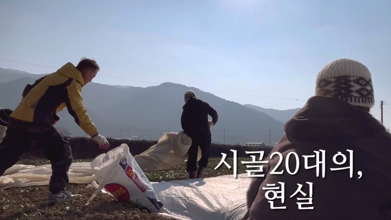 VLOG 남해에서 보낸 평범하지만 바쁜 일상 | 시금치 농사짓고 냉이 캐기 | 굴전 부쳐먹기 