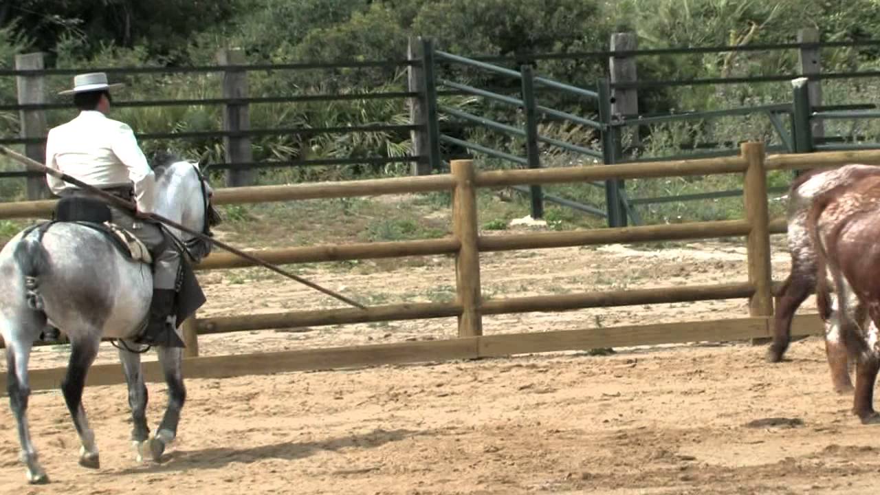 Los Primeros Trailer from the Vaquero  Series
