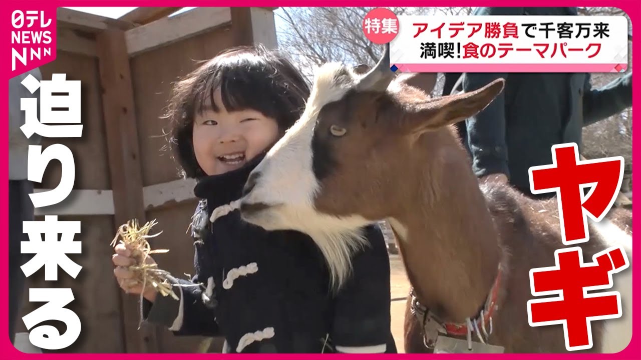 【動物王国】エサやり体験に大興奮!観光牧場のびっくり名物“１０人前プリン”の味は？「食のテーマパーク」『every.特集』
